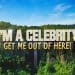 I’m A Celebrity 2025 Final Odds – Tom Read Wilson emerges as SHOCK winner