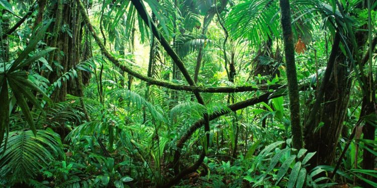 Angry Ginge Emerges as Early Favourite to Win I’m A Celebrity 2025 as Stars Arrive in Australia